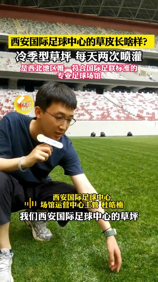 西安国际足球运营控制：草皮海外入口＆冷季型草，达国际A级规范