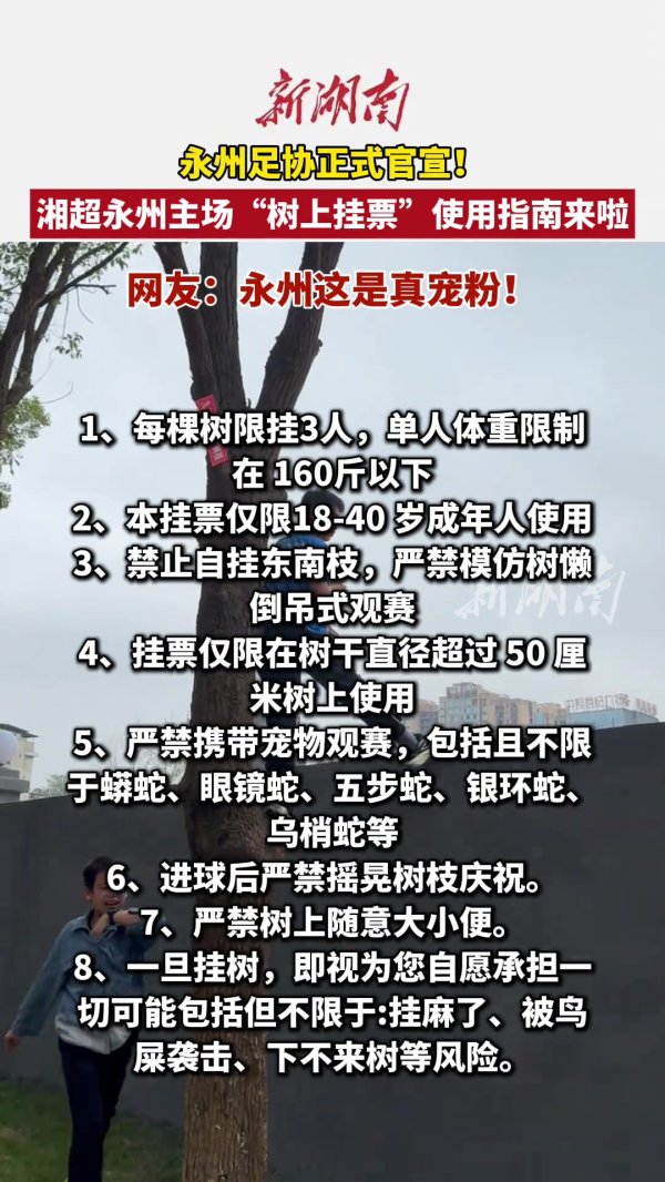 “湘超”永州出台“树上挂票”指南！每棵树限挂3东谈主+承担鸟屎风险