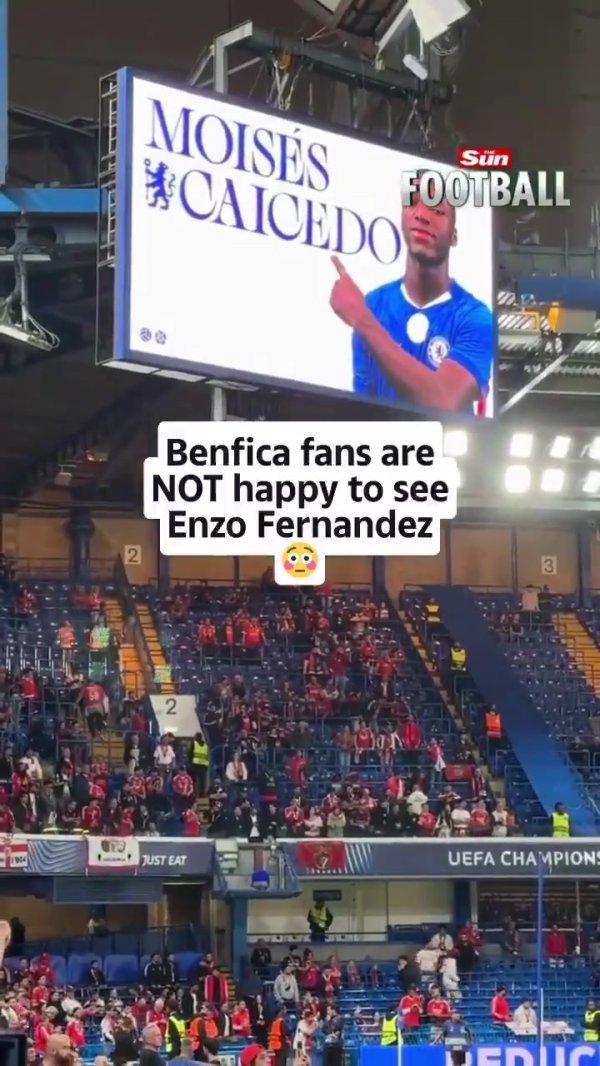 遭狂嘘！主捏东谈主赛前先容恩佐，本菲卡球迷猖獗报以嘘声